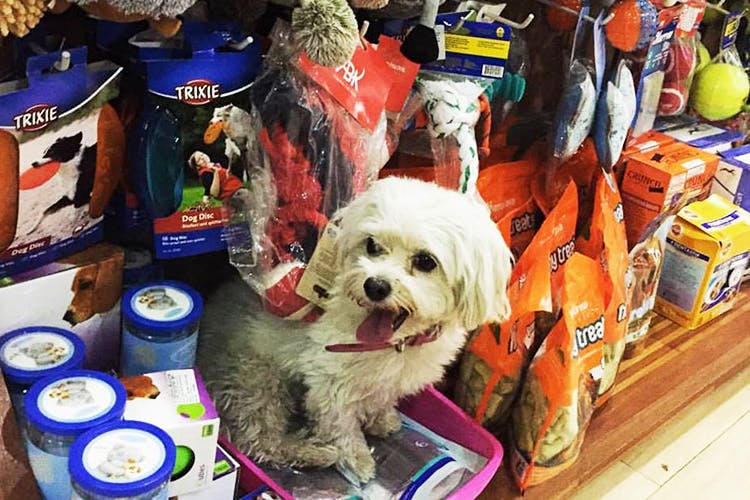 PET & PET SUPPLIES